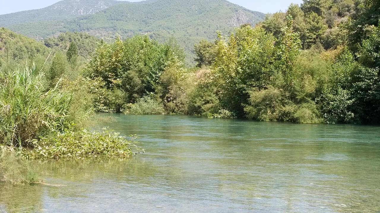 Dim Çayı