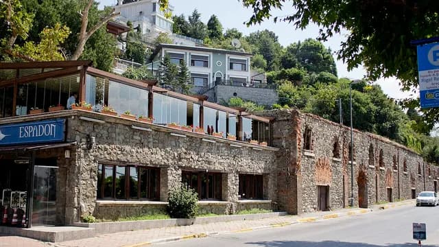 Insel Paşalimanı (Paşalimanı Adası)