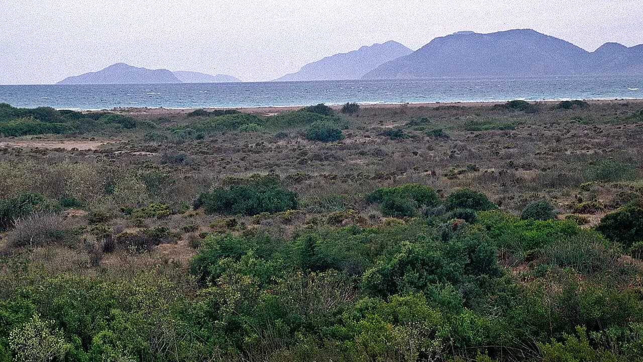 Göksu-Delta