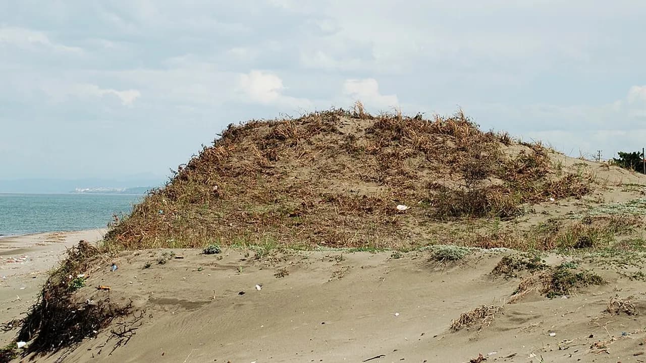 Kocaali Coast